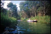 050104_RX_ROLL1DX-12A