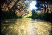 050104_RX_ROLL1DX-16A