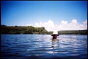 050104_RX_ROLL1DX-19A
