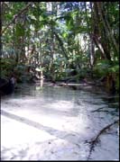 060104_RIMG0742