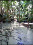 060104_RIMG0743