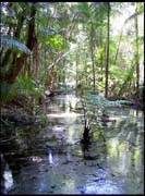 060104_RIMG0744