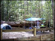 070104_RIMG0746