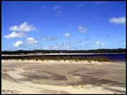 070104_RIMG0750