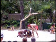 090104_RIMG0766