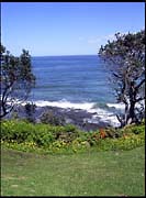 RIMG0177_0904