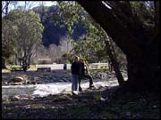 RIMG0098