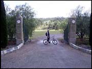 RIMG0188_161004