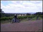 RIMG0189_161004