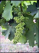 RIMG0190_161004
