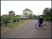 RIMG0202_161004
