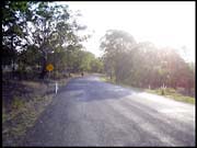 RIMG0203_161004