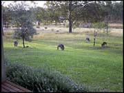 RIMG0206_161004