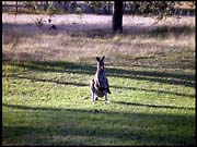 RIMG0211_161004