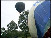 RIMG0219_161004