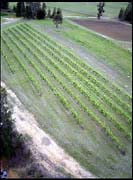 RIMG0228_161004