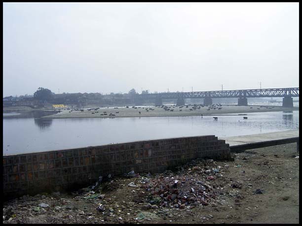 20040201_RIMG0325
