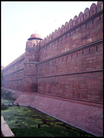 20040208_RIMG0383