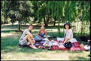 jagody_150103_dx-17