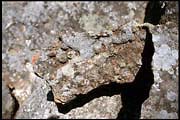lostcty_061002_014