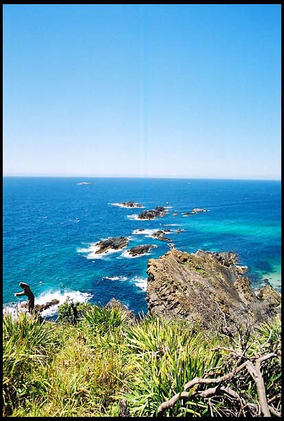 myall_260103_dx-04