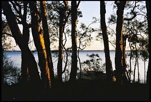 myall_260103_dx-11