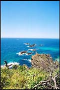 myall_260103_dx-04