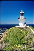 myall_260103_dx-05a