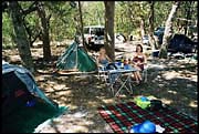 myall_260103_dx-0a