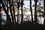 myall_260103_dx-11