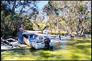 myall_260103_dx-16