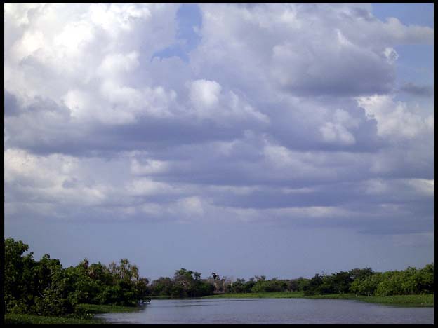 NT_rimg0238