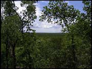 NT_rimg0203
