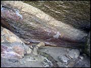 NT_rimg0204