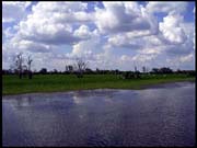 NT_rimg0216