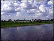NT_rimg0217