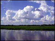 NT_rimg0229