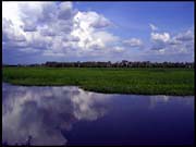 NT_rimg0234