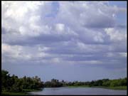 NT_rimg0238