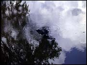 NT_rimg0240