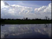 NT_rimg0242