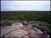 NT_rimg0251