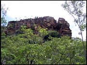 NT_rimg0256
