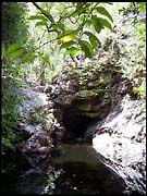 NT_rimg0260