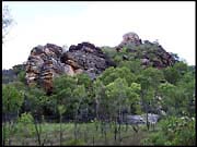 NT_rimg0262
