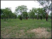 NT_rimg0274