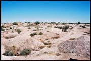 RIMG0071_ROLL2DX-07