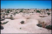 RIMG0071_ROLL2DX-09