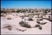 RIMG0071_ROLL2DX-10