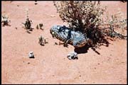 RIMG0076_ROLL2DX-11